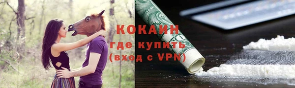 PSILOCYBIN Арсеньев
