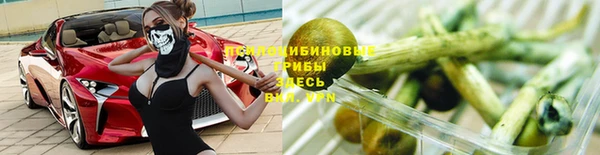 твердый Балахна