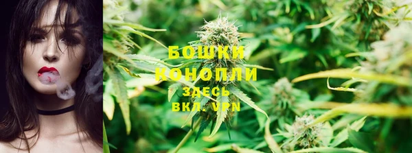 PSILOCYBIN Арсеньев