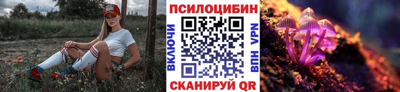 Галлюциногенные грибы Psilocybine cubensis  блэк спрут tor  shop состав  Сортавала 
